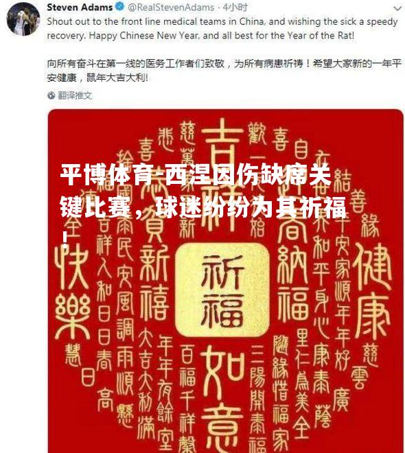 西涅因伤缺席关键比赛，球迷纷纷为其祈福！